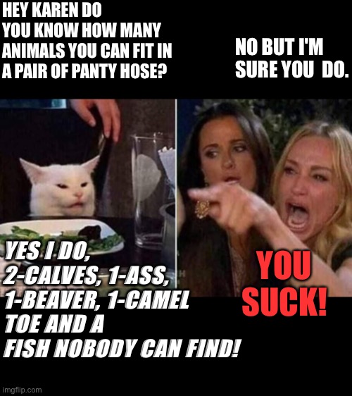 Woman yelling at cat | HEY KAREN DO YOU KNOW HOW MANY ANIMALS YOU CAN FIT IN A PAIR OF PANTY HOSE? NO BUT I'M SURE YOU  DO. YOU SUCK! YES I DO, 2-CALVES, 1-ASS, 1-BEAVER, 1-CAMEL TOE AND A FISH NOBODY CAN FIND! | image tagged in reverse smudge and karen | made w/ Imgflip meme maker