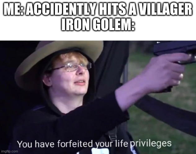 you have forfeited life privileges | ME: ACCIDENTLY HITS A VILLAGER
IRON GOLEM: | image tagged in you have forfeited life privileges | made w/ Imgflip meme maker