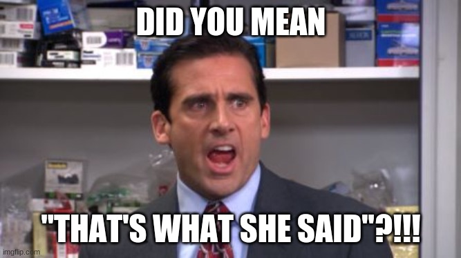 the office bankruptcy | DID YOU MEAN "THAT'S WHAT SHE SAID"?!!! | image tagged in the office bankruptcy | made w/ Imgflip meme maker