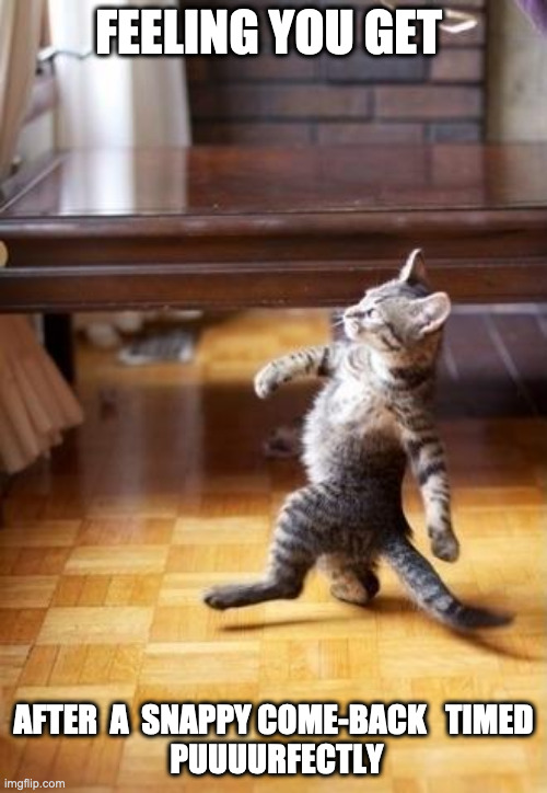 Purrrrfectly timed | FEELING YOU GET; AFTER  A  SNAPPY COME-BACK   TIMED
 PUUUURFECTLY | image tagged in memes,cool cat stroll,funny,upvote,booyahh | made w/ Imgflip meme maker