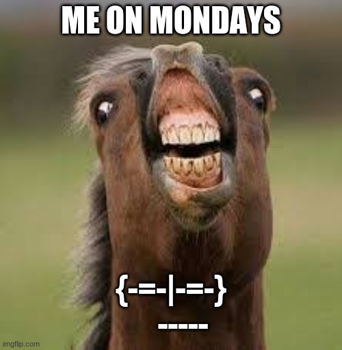 Yes sir | ME ON MONDAYS; {-=-|-=-}
    ----- | image tagged in horse,memes | made w/ Imgflip meme maker
