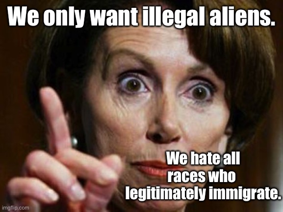 Nancy Pelosi No Spending Problem | We only want illegal aliens. We hate all races who  legitimately immigrate. | image tagged in nancy pelosi no spending problem | made w/ Imgflip meme maker