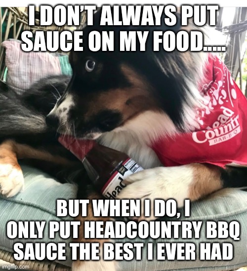 @headcountrybbq | I DON’T ALWAYS PUT SAUCE ON MY FOOD..... BUT WHEN I DO, I ONLY PUT HEADCOUNTRY BBQ SAUCE THE BEST I EVER HAD | image tagged in bbq | made w/ Imgflip meme maker
