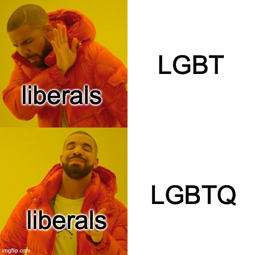 Drake Hotline Bling | LGBT; liberals; LGBTQ; liberals | image tagged in memes,drake hotline bling | made w/ Imgflip meme maker
