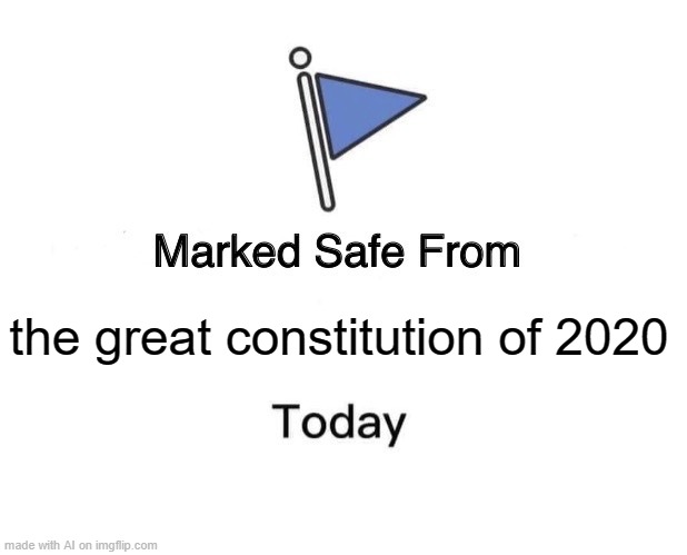Marked Safe From | the great constitution of 2020 | image tagged in memes,marked safe from | made w/ Imgflip meme maker