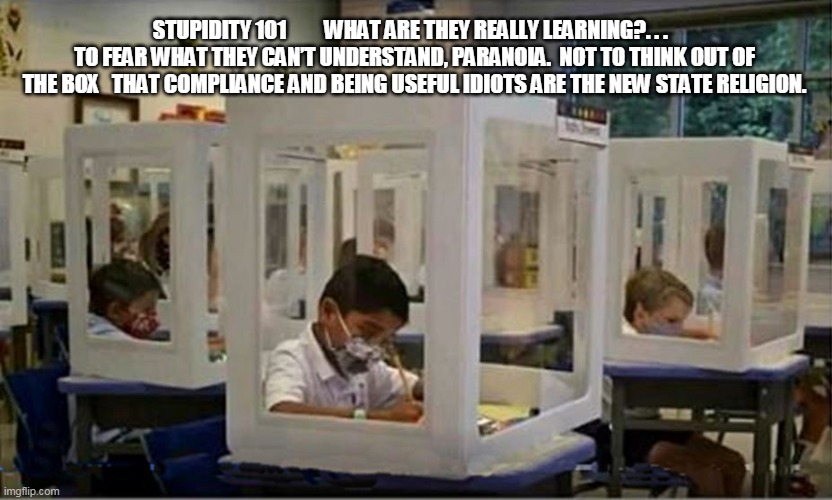 STUPIDITY 101         WHAT ARE THEY REALLY LEARNING?. . .   TO FEAR WHAT THEY CAN’T UNDERSTAND, PARANOIA.  NOT TO THINK OUT OF THE BOX   THAT COMPLIANCE AND BEING USEFUL IDIOTS ARE THE NEW STATE RELIGION. | image tagged in out of the box | made w/ Imgflip meme maker