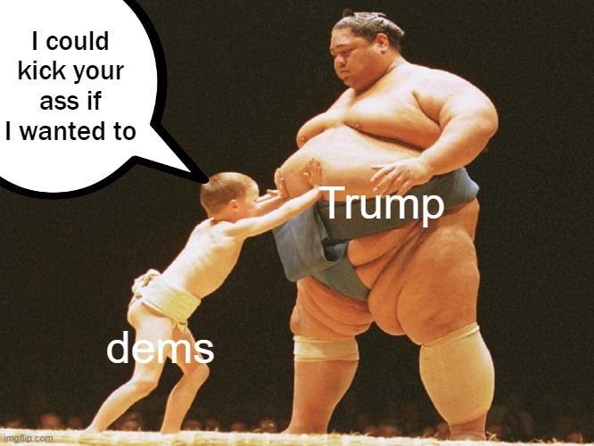 kid vs sumo wrestler | I could kick your ass if I wanted to dems Trump | image tagged in kid vs sumo wrestler | made w/ Imgflip meme maker