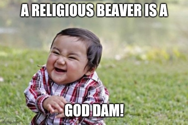 Evil Toddler Meme | A RELIGIOUS BEAVER IS A; GOD DAM! | image tagged in memes,evil toddler | made w/ Imgflip meme maker