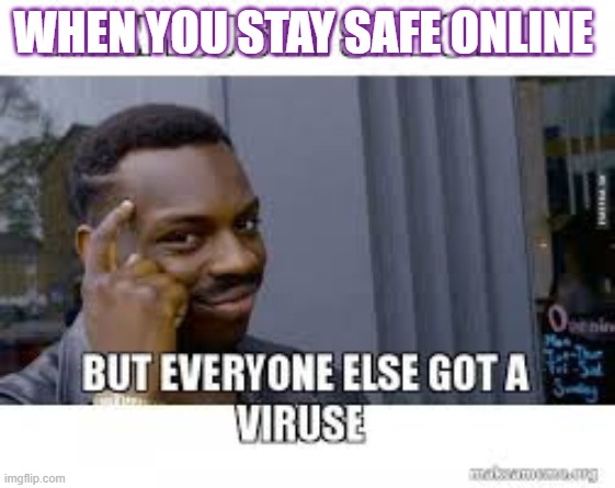 Online safety is important | WHEN YOU STAY SAFE ONLINE | image tagged in memes | made w/ Imgflip meme maker