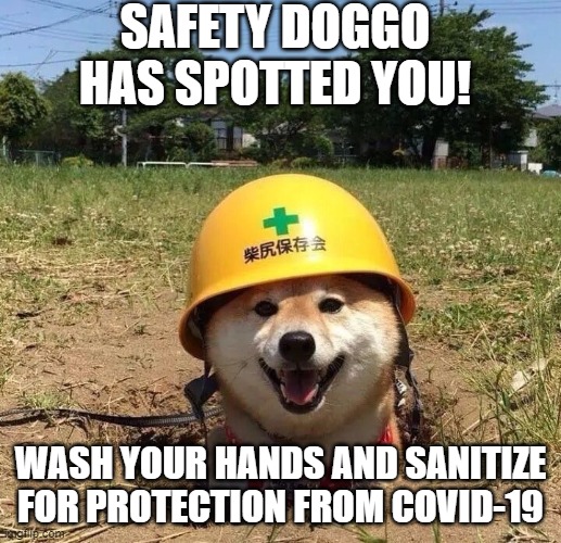 Safety doggo | SAFETY DOGGO HAS SPOTTED YOU! WASH YOUR HANDS AND SANITIZE FOR PROTECTION FROM COVID-19 | image tagged in safety doggo,dankmemes | made w/ Imgflip meme maker
