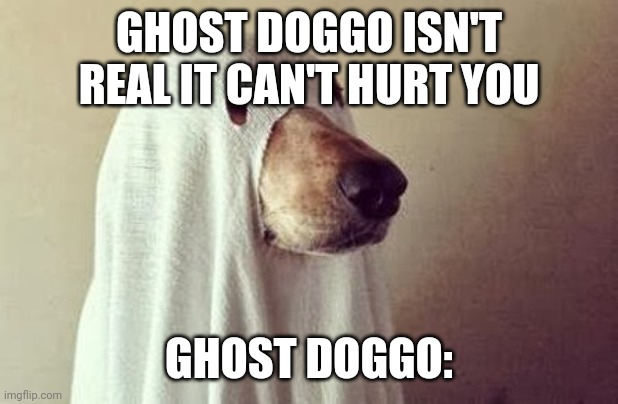 Ghost dog | GHOST DOGGO ISN'T REAL IT CAN'T HURT YOU; GHOST DOGGO: | image tagged in dog | made w/ Imgflip meme maker