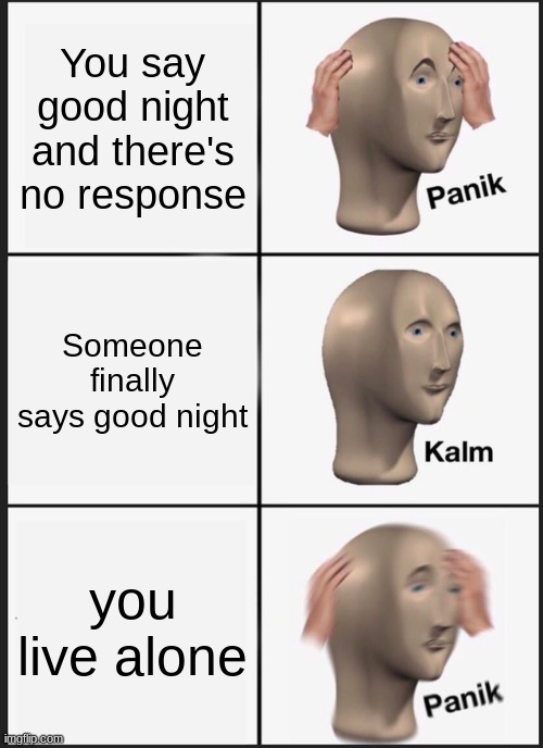 PANIK | You say good night and there's no response; Someone finally says good night; you live alone | image tagged in memes,panik kalm panik | made w/ Imgflip meme maker