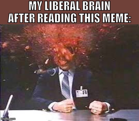 When your head asplode. | MY LIBERAL BRAIN AFTER READING THIS MEME: | image tagged in exploding head,facts,logic,liberal logic,stupid liberals,destroy | made w/ Imgflip meme maker