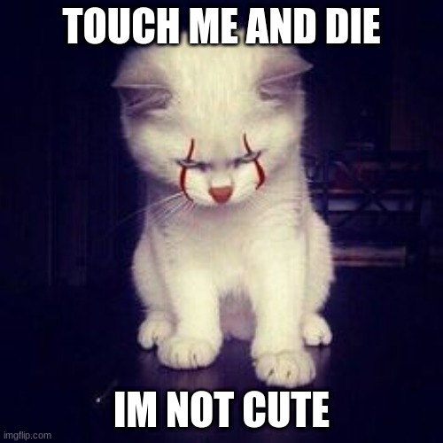 TOUCH ME AND DIE; IM NOT CUTE | made w/ Imgflip meme maker