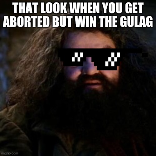 modern warfare be like | THAT LOOK WHEN YOU GET ABORTED BUT WIN THE GULAG | image tagged in harry potter | made w/ Imgflip meme maker