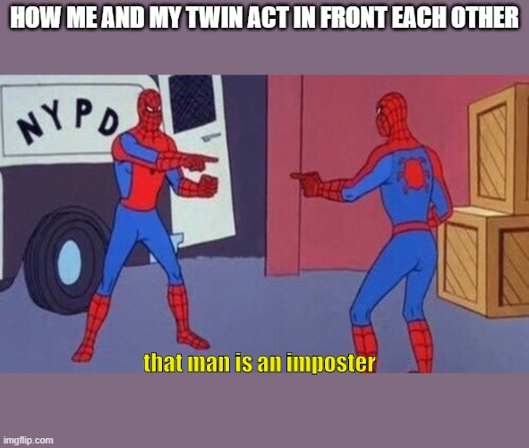 spiderman pointing at spiderman | HOW ME AND MY TWIN ACT IN FRONT EACH OTHER; that man is an imposter | image tagged in spiderman pointing at spiderman | made w/ Imgflip meme maker
