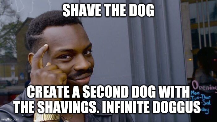 Roll Safe Think About It Meme | SHAVE THE DOG CREATE A SECOND DOG WITH THE SHAVINGS. INFINITE DOGGUS | image tagged in memes,roll safe think about it | made w/ Imgflip meme maker