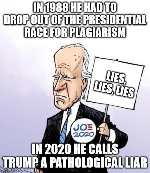 Here's the facts, y'all... | IN 1988 HE HAD TO DROP OUT OF THE PRESIDENTIAL RACE FOR PLAGIARISM; LIES, LIES, LIES; IN 2020 HE CALLS TRUMP A PATHOLOGICAL LIAR | image tagged in joe biden stance,liar liar,trump 2020,joe biden,democrats | made w/ Imgflip meme maker