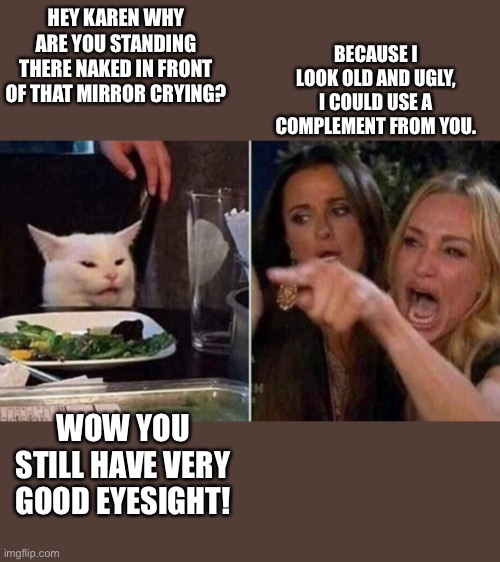 Woman yelling at cat | HEY KAREN WHY ARE YOU STANDING THERE NAKED IN FRONT OF THAT MIRROR CRYING? BECAUSE I LOOK OLD AND UGLY, I COULD USE A COMPLEMENT FROM YOU. WOW YOU STILL HAVE VERY GOOD EYESIGHT! | image tagged in reverse smudge and karen | made w/ Imgflip meme maker