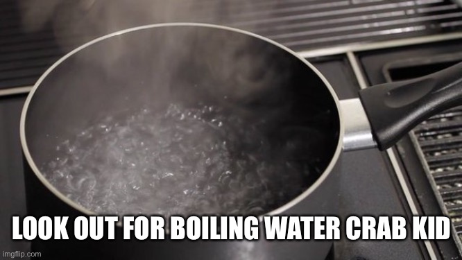 Boiling water | LOOK OUT FOR BOILING WATER CRAB KID | image tagged in boiling water | made w/ Imgflip meme maker