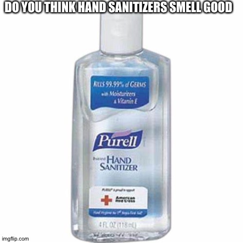 Hand sanitizer | DO YOU THINK HAND SANITIZERS SMELL GOOD | image tagged in hand sanitizer | made w/ Imgflip meme maker
