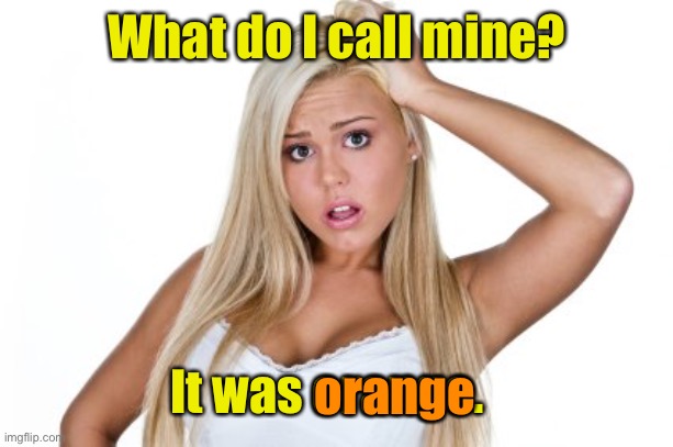 Dumb Blonde | What do I call mine? It was orange. orange | image tagged in dumb blonde | made w/ Imgflip meme maker