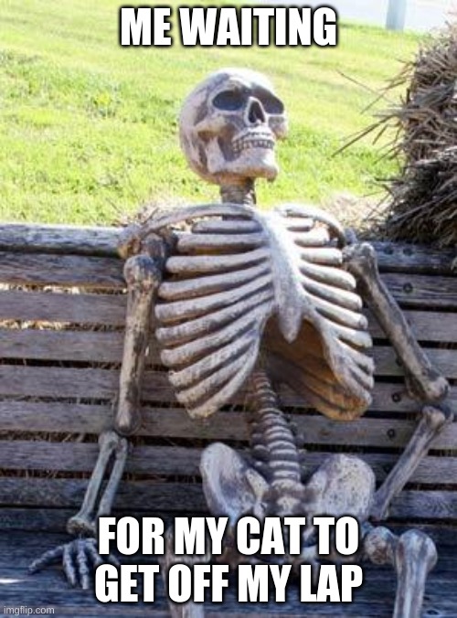 I don't know how I live with 10 of them | ME WAITING; FOR MY CAT TO GET OFF MY LAP | image tagged in memes,waiting skeleton | made w/ Imgflip meme maker