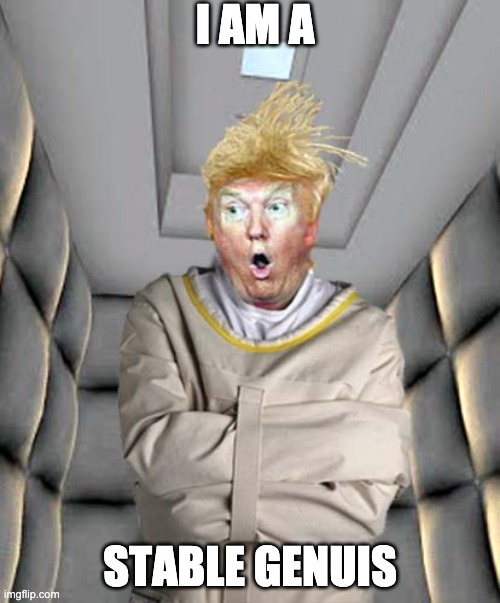 Straight Jacket Trump | I AM A; STABLE GENUIS | image tagged in straight jacket trump | made w/ Imgflip meme maker
