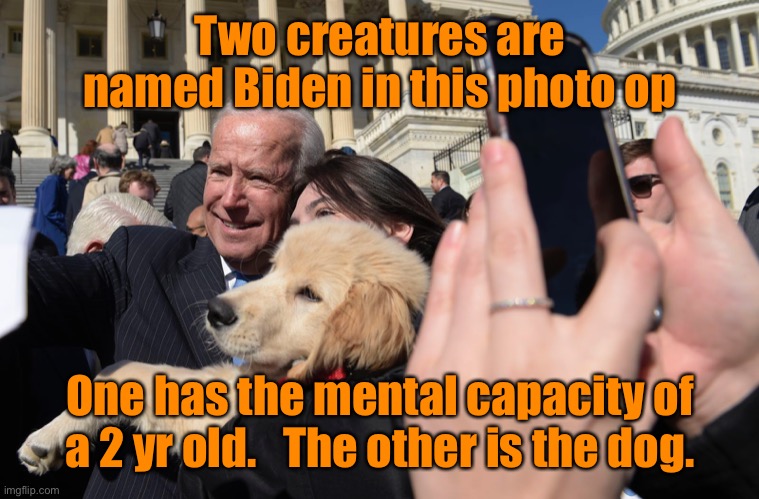 He would have selected the dog as his running mate for the poll boost, he needed a running mate slower than himself | Two creatures are named Biden in this photo op; One has the mental capacity of a 2 yr old.   The other is the dog. | image tagged in biden the dog,joe biden | made w/ Imgflip meme maker