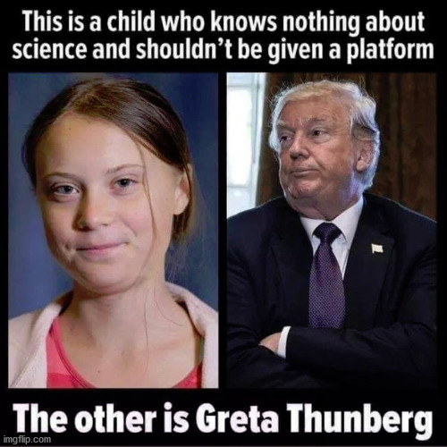 image tagged in greta thunberg,trump,incompetence | made w/ Imgflip meme maker