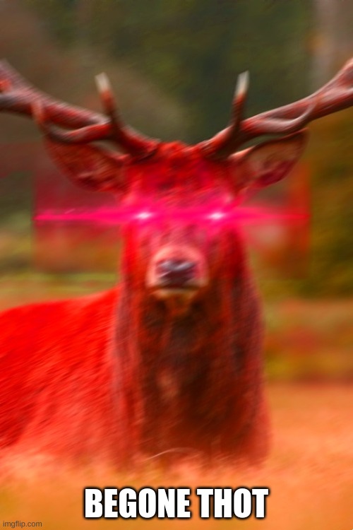 Deer Begone Thot | BEGONE THOT | image tagged in deer begone thot | made w/ Imgflip meme maker