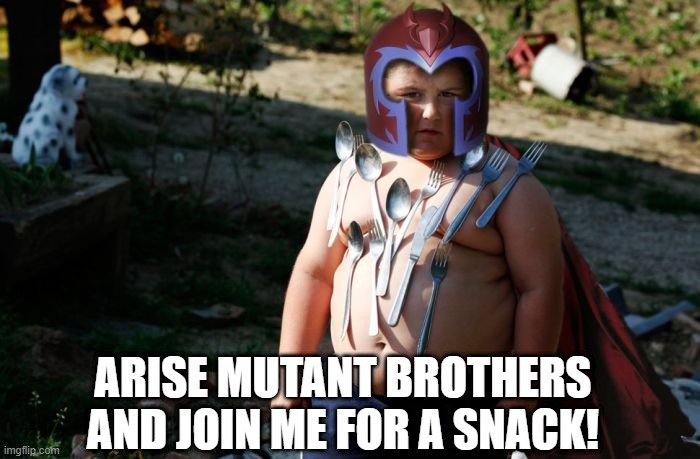 Fatneto | ARISE MUTANT BROTHERS AND JOIN ME FOR A SNACK! | image tagged in magneto | made w/ Imgflip meme maker