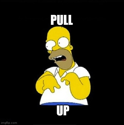 Homer Simpson Retarded | PULL; UP | image tagged in homer simpson retarded | made w/ Imgflip meme maker