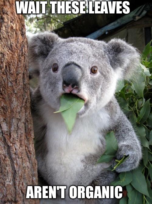 Surprised Koala | WAIT THESE LEAVES; AREN'T ORGANIC | image tagged in memes,surprised koala | made w/ Imgflip meme maker