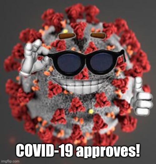 Coronavirus | COVID-19 approves! | image tagged in coronavirus | made w/ Imgflip meme maker