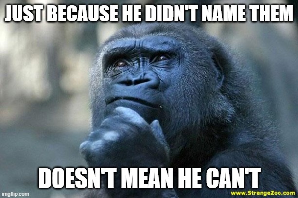Deep Thoughts | JUST BECAUSE HE DIDN'T NAME THEM DOESN'T MEAN HE CAN'T | image tagged in deep thoughts | made w/ Imgflip meme maker