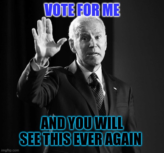 Elect-unable | VOTE FOR ME; AND YOU WILL SEE THIS EVER AGAIN | image tagged in electable | made w/ Imgflip meme maker