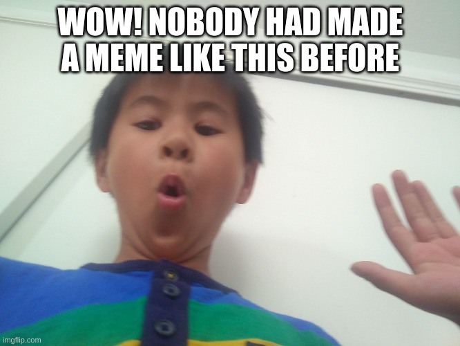 Wow | WOW! NOBODY HAD MADE A MEME LIKE THIS BEFORE | image tagged in wow | made w/ Imgflip meme maker