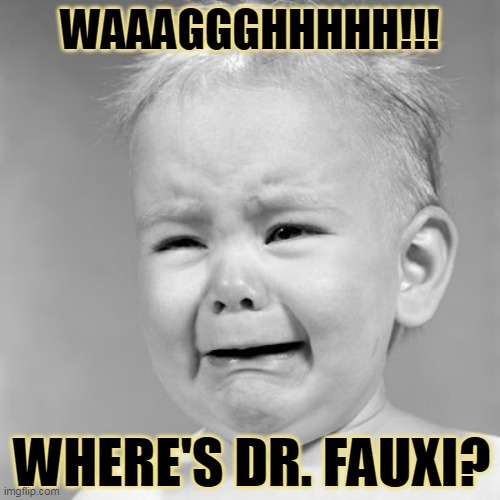 WAAAGGGHHHHH!!! WHERE'S DR. FAUXI? | made w/ Imgflip meme maker