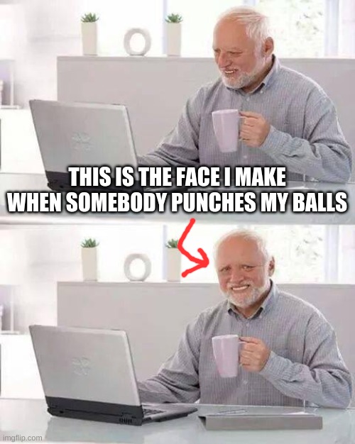 Hide the Pain Harold Meme | THIS IS THE FACE I MAKE WHEN SOMEBODY PUNCHES MY BALLS | image tagged in memes,hide the pain harold | made w/ Imgflip meme maker