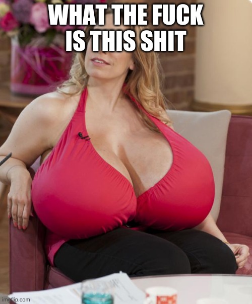 Big Boobs | WHAT THE FUCK IS THIS SHIT | image tagged in big boobs | made w/ Imgflip meme maker