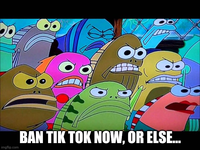 spongebob angry mob | BAN TIK TOK NOW, OR ELSE... | image tagged in spongebob angry mob | made w/ Imgflip meme maker