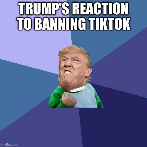 Success Kid | TRUMP'S REACTION TO BANNING TIKTOK | image tagged in memes,success kid | made w/ Imgflip meme maker