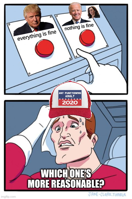 Polar opposites and the American voter | nothing is fine; everything is fine; WHICH ONE'S MORE REASONABLE? | image tagged in memes,two buttons | made w/ Imgflip meme maker