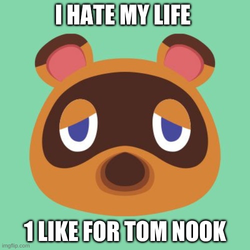 tom nook | I HATE MY LIFE; 1 LIKE FOR TOM NOOK | image tagged in tom nook | made w/ Imgflip meme maker