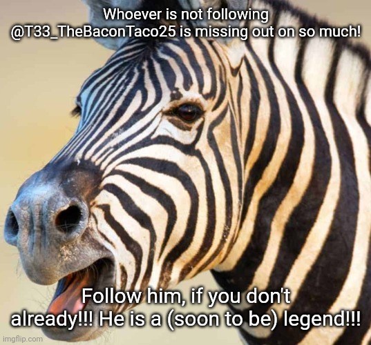 Happy Zebra | Whoever is not following @T33_TheBaconTaco25 is missing out on so much! Follow him, if you don't already!!! He is a (soon to be) legend!!! | image tagged in happy zebra | made w/ Imgflip meme maker