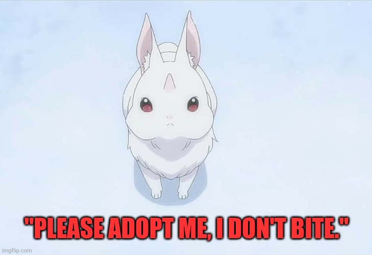 Re:Zero season 2 bunny | "PLEASE ADOPT ME, I DON'T BITE." | image tagged in re zero season 2 bunny | made w/ Imgflip meme maker