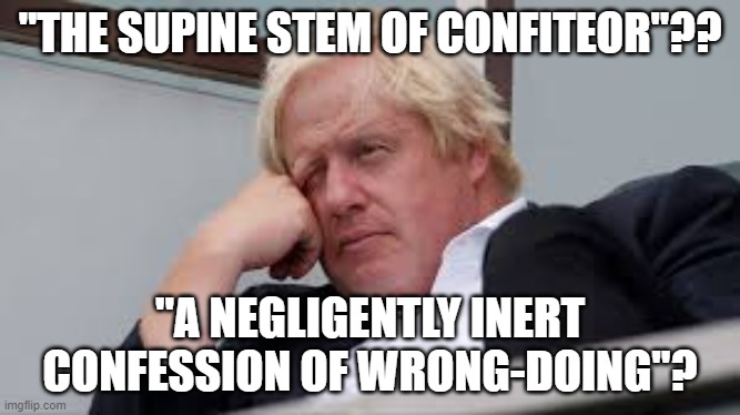 Boris | "THE SUPINE STEM OF CONFITEOR"?? "A NEGLIGENTLY INERT CONFESSION OF WRONG-DOING"? | image tagged in boris | made w/ Imgflip meme maker