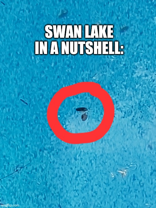 SWAN LAKE IN A NUTSHELL: | made w/ Imgflip meme maker