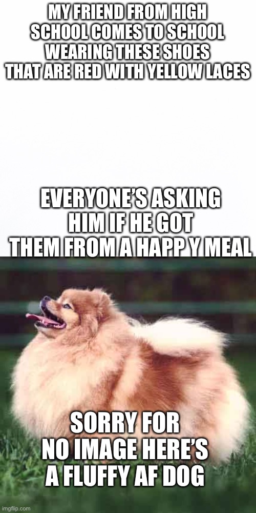 Maccas shoes | MY FRIEND FROM HIGH SCHOOL COMES TO SCHOOL WEARING THESE SHOES THAT ARE RED WITH YELLOW LACES; EVERYONE’S ASKING HIM IF HE GOT THEM FROM A HAPP Y MEAL; SORRY FOR NO IMAGE HERE’S A FLUFFY AF DOG | image tagged in mcdonalds,shoes | made w/ Imgflip meme maker